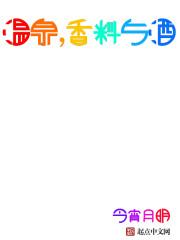 海岛领主巫师