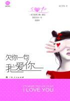 欠你一句我爱你歌词含义