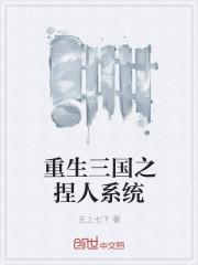 重生三国npc