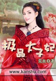 极品太子妃全二册