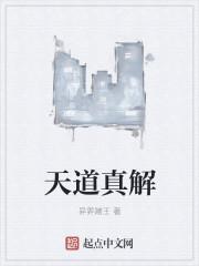 天道讲解视频