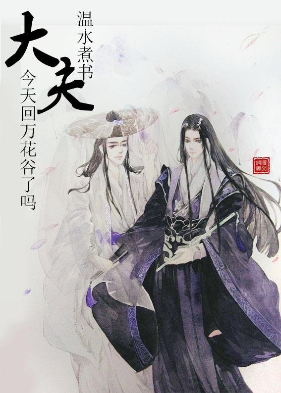 大夫今天回家了吗 综武侠