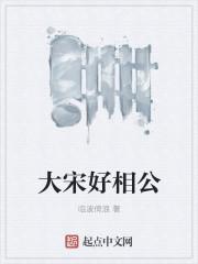 宋朝的大相公是几品官