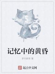 记忆里泛黄的照片歌词