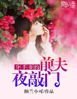 分手妻约前夫夜敲门(叶星辰