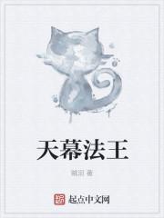 天幕能抗几级风