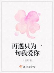 只为再次遇见你免费阅读