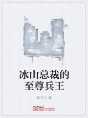 冰山总裁的至尊高手女主