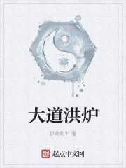 大道洪炉零点看书
