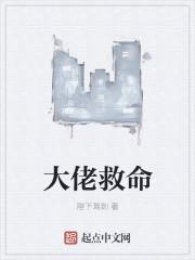 大佬救救我全文阅读