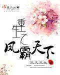 锦贵妃成为皇后哪一章