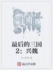 最后的三国2兴魏TXT
