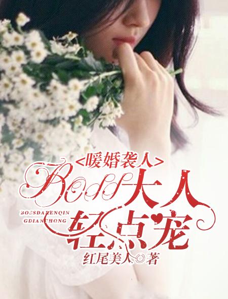 暖婚总裁轻点宠免费阅读全文