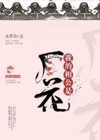 我的相公是厂花完整