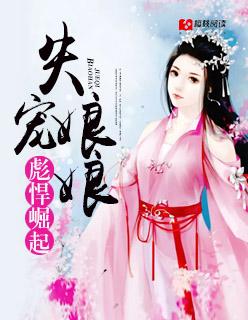失宠贼王妃