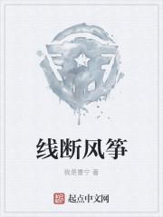 线断风筝打一准确动物