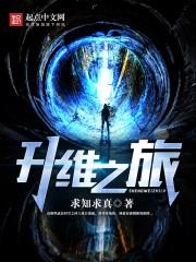 升维之旅txt八零电子书