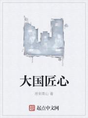 大国匠心栏目属于央视吗
