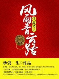 仕途笔记风雨青云路免费阅读