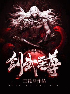 至尊剑皇武功等级