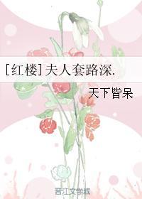 红楼夫人套路深免费阅读
