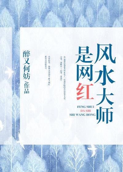 风水大师是网红剧情