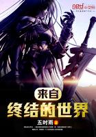 陪你到世界终结第26集剧情