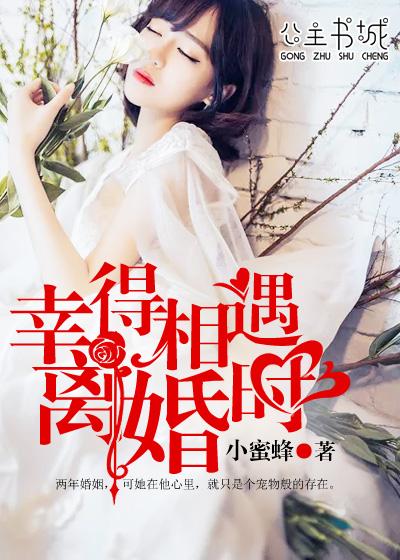 幸得相遇离婚时短剧
