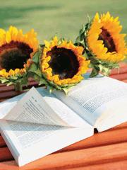 异世逍遥之龙行天下