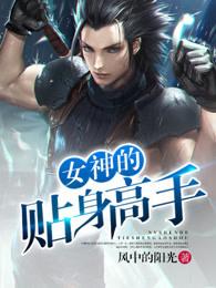 女神的贴身高手原文