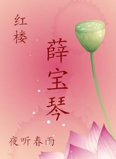 红楼薛宝琴by