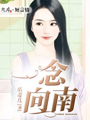 一念向南是表达爱情吗