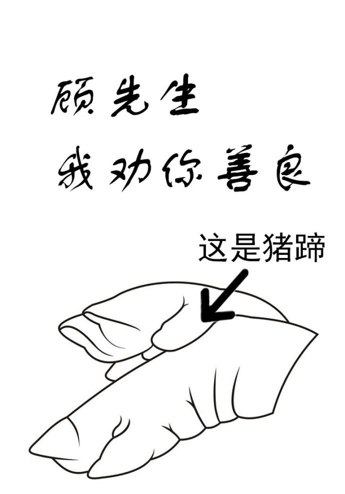 顾先生我劝你善良电视剧