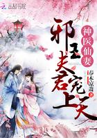 神医仙妻邪王夫君