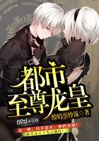 都市至尊龙皇叶激天