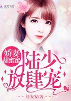 陆少蜜宠娇妻有不听话
