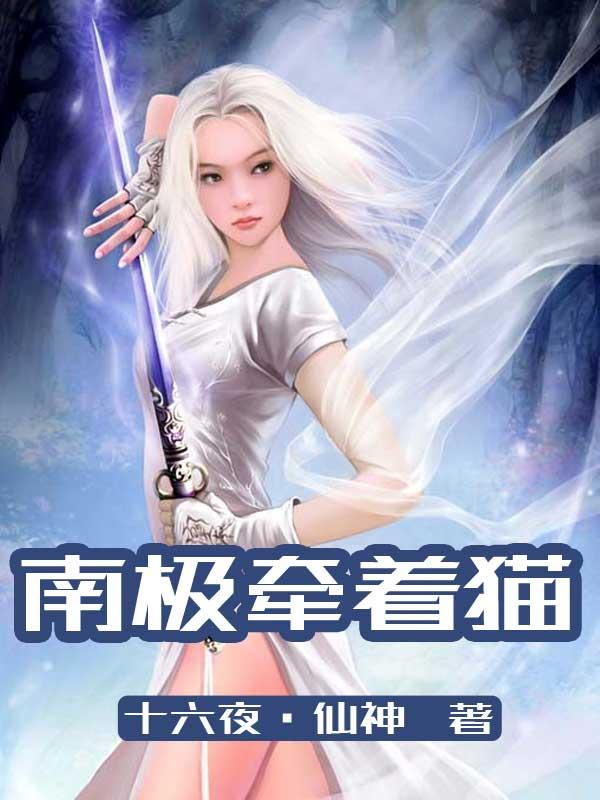 高级动物南极猫