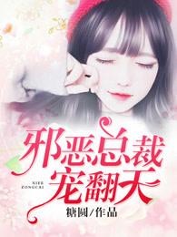 邪恶总裁宠翻天类型推荐