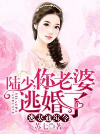逃妻通缉令强制军婚