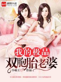 我的双胞胎老婆李飞