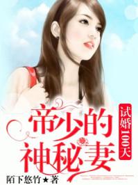 试婚100天帝少的神秘妻无弹窗