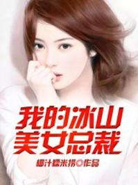 我的冰山美女总裁寂灭