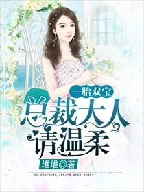 一胎双宝总裁大人请温柔 完结 番外免费阅读