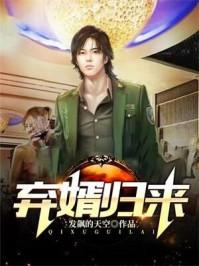 弃婿归来短剧免费观看