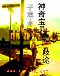 神奇宝贝之歧途 子迷