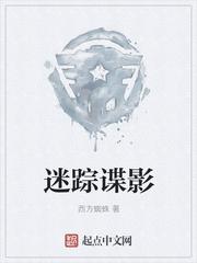 迷踪谍影 无弹窗