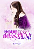 boss别闹by魅郁雪