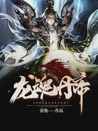 龙魂兵王叶辰