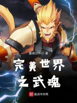 完美世界之武魂 百度
