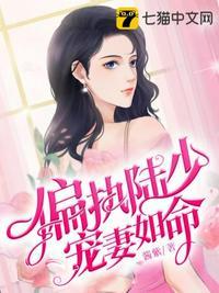 偏执陆少宠妻如命个神秘人是谁